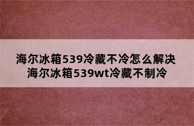 海尔冰箱539冷藏不冷怎么解决 海尔冰箱539wt冷藏不制冷